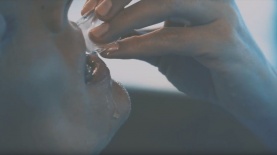 קמפיין ארנת ההחלקה על הקרח, צילום: מסך