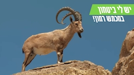 רשות הטבע והגנים, צילום: יחסי ציבור