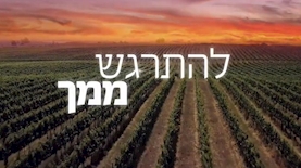 יקב רמת הגולן, צילום: יחסי ציבור