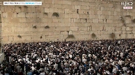טקס מעמד הסליחות מהכותל המערבי, צילום: מסך: כאן 11