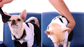 קמפיין שופרסל, צילום: מתוך קמפיין שופרסל