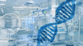 קורונה, צילום: pixabay