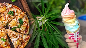 פיצה גלידה וקנאביס, צילום: unsplash ,freepik ,pexels