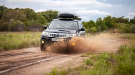 סובארו פורסטר, צילום: אילוסטרציה shutterstock