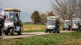 רכבים להשכרה באגמון החולה. אילוסטרציה, צילום: דוד כהן/פלאש90