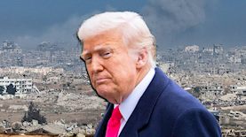 דונלד טראמפ, צילום: shutterstock, פלאש 90