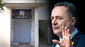 ישראל כץ וגלי צהל, צילום: פלאש 90/ חיים גולדברג, אבשלום ששוני