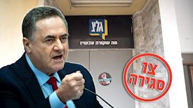 ישראל כץ וגלי צהל, צילום: פלאש 90/ עומר פיכמן, יונתן זינדל