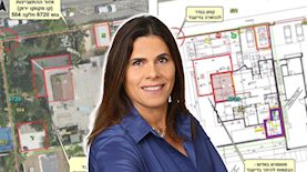 ליזי דלריצ'ה, צילום: פייסבוק/  ליזי דלריצ׳ה