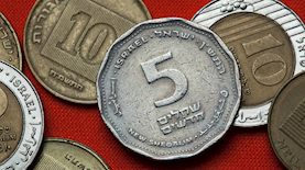 שקלים, צילום: shutterstock