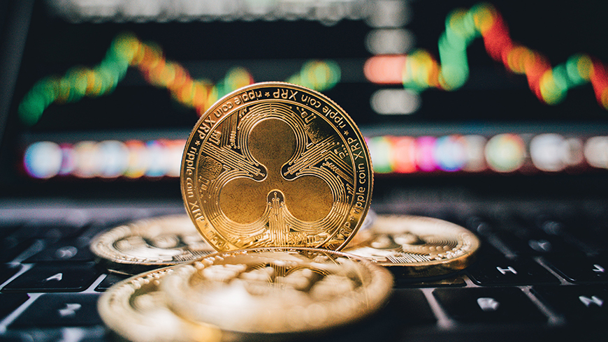 The daily crypto: the currency that continues to rise despite the declines