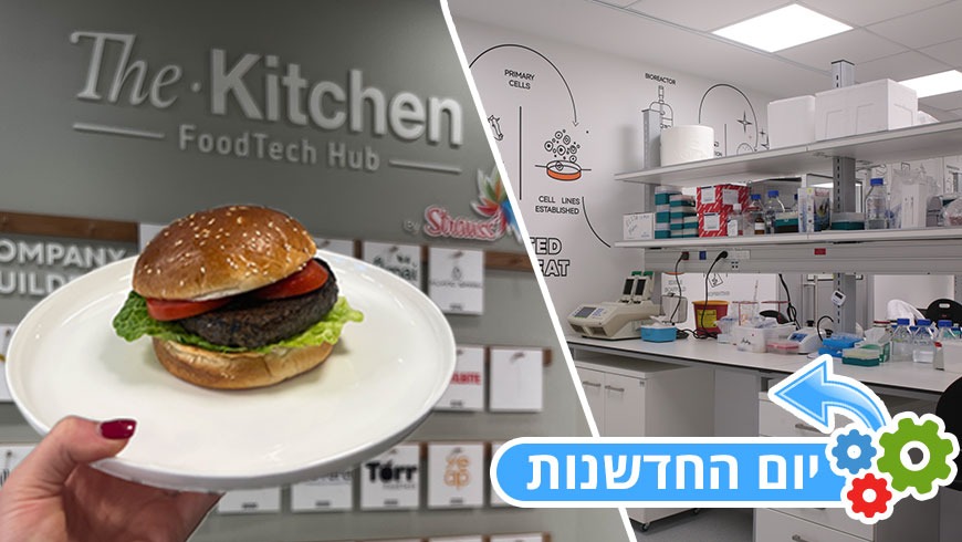 מהמעבדה לצלחת: כך משנה מהפכת החדשנות את תעשיית המזון