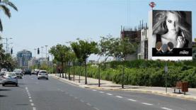 פרסום חוצות, צילום: לביא מדיה