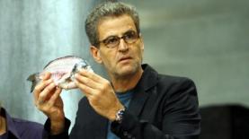 אייל שני ב'מאסטר-שף' (צילום מסך: ערוץ 2), צילום: צילום מסך: ערוץ 2