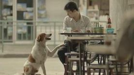 פרסומת לחברת הביטוח התאילנדית, צילום: צילום מסך