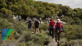 קרן קיימת לישראל (Getty images Israel), צילום: Getty images Israel
