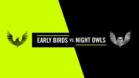 נייקי. ציפורים מול ינשופים, צילום: יח"צ