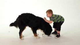 הפרסומת האמריקאית עם הילד נח (צילום מסך), צילום: צילום מסך