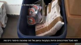 נייס גאי, צילום: יח"צ