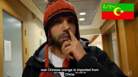 באומן בר ריבנאי, צילום: יוטיוב. צילום מסך