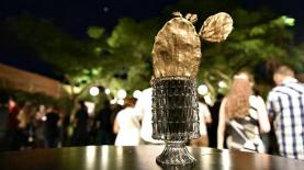 קקטוס 2015, צילום: נדב כהן יונתן