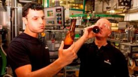 גולדסטאר. הזוכה המאושר בג'וב החלומות, צילום: יח"צ