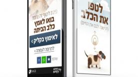 לטפו את הכלב. שגיא דיגיטל, צילום: יח"צ