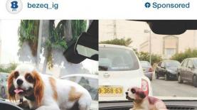 בזק. מדיה קום אינטראקשן, צילום: יח"צ