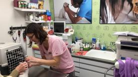 אניפט באר שבע, צילום: יוסי לוי