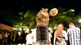 קקטוס, צילום: יח"צ