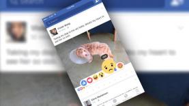 הלייקים החדשים של פייסבוק, צילום: צילום מסך