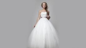 כתיבת מומחים, צילום: shutterstock