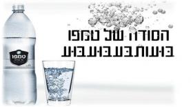 טמפו, צילום: יח"צ