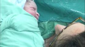 יום השידורים המיוחד בפייסבוק LIVE מבלינסון, צילום: צילום מסך