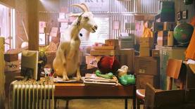 העז של yellow, צילום: יח"צ/ יוטיוב