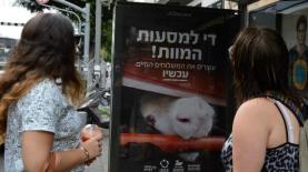 תנו לחיות לחיות, צילום: יח"צ