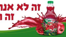 פרימור, צילום: יח"צ