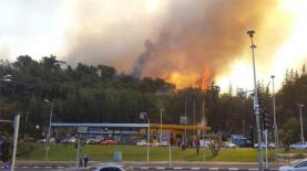 השריפה באזור חיפה, צילום: כבאות והצלה מחוז חוף