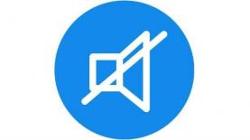 רשות הדיבוב, צילום: לוגו