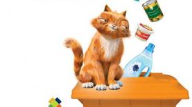 "דדי החתול" בקמפיין של תאגיד המחזור תמיר, צילום: יח"צ