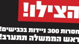 אור ירוק, צילום: יח"צ