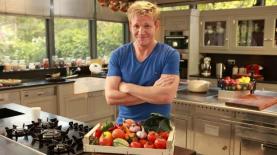 גורדון רמזי, צילום: באדיבות yes