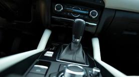 עמוס הכלב. מאזדה, צילום: עמוס הכלב. מאזדה