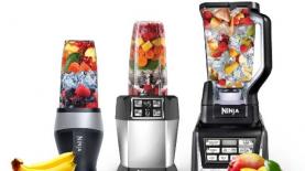 נוטרי נינג'ה, צילום: יח"צ