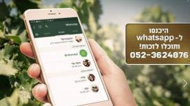 יקב טפרברג, צילום: יח"צ