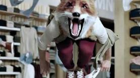 תמנון. פרסומת חדשה 2017, צילום: יח"צ