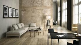 אלוני, צילום: יח"צ