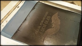 color, צילום: יח"צ