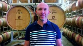 רועי הראל, צילום: יח"צ