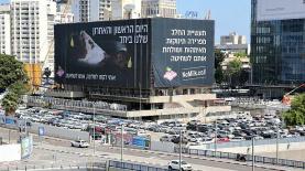 ויגן אקטיב, צילום: רויטל טופיול